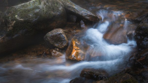 Stream