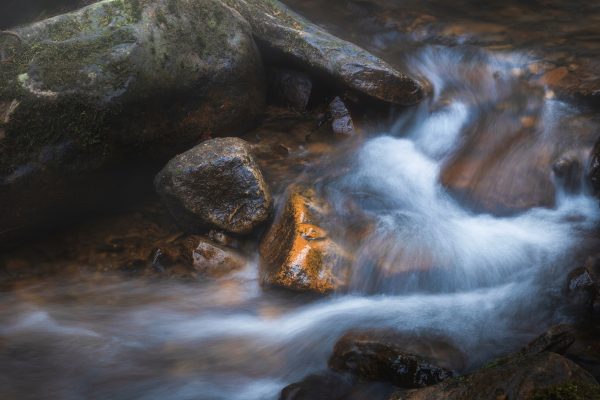 Stream