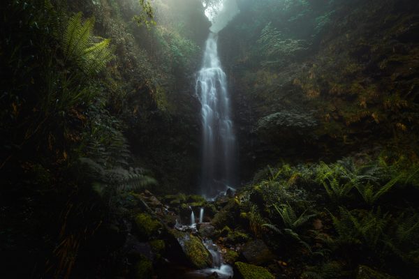 Belaustegi waterfall and fog