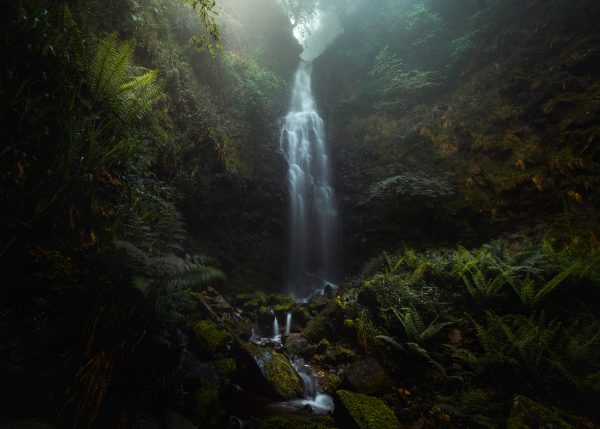 Belaustegi waterfall and fog