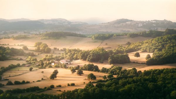 Fields of Araba in Summer