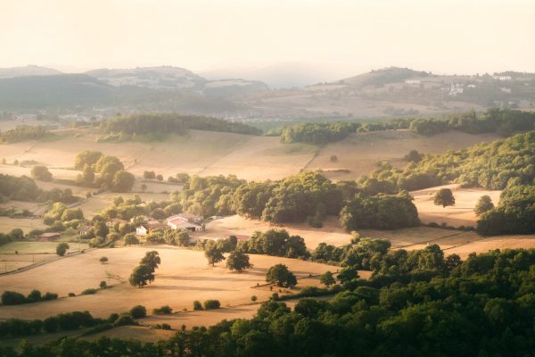 Fields of Araba in Summer