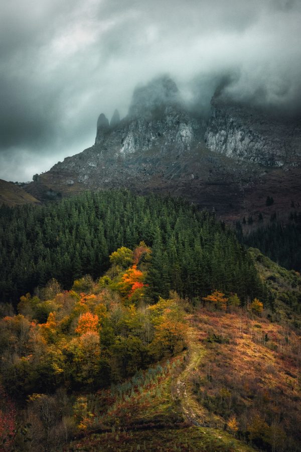 Itzina moody foggy day
